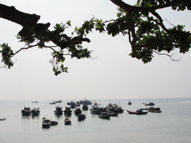 Đầu[-]tư[-]42[-]tỉ[-]xây[-]dựng[-]khu[-]bảo[-]tồn[-]biển[-]Lý[-]Sơn